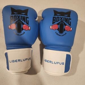 Kids Boxing Gloves - Blue and White